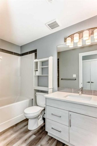45 Ellington Crescent, Red Deer, AB - Indoor Photo Showing Bathroom