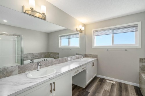 185 Masters Row Se, Calgary, AB - Indoor Photo Showing Bathroom