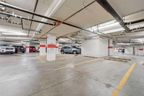 1005-32 Varsity Estates Circle Nw, Calgary, AB - Indoor Photo Showing Garage