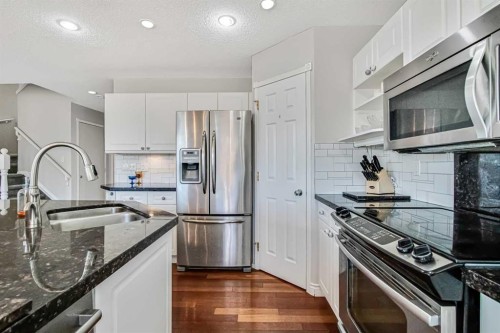 189 Coral Springs Court Ne, Calgary, AB - Indoor Photo Showing Kitchen With Double Sink With Upgraded Kitchen