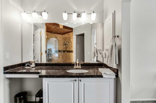 189 Coral Springs Court Ne, Calgary, AB - Indoor Photo Showing Bathroom