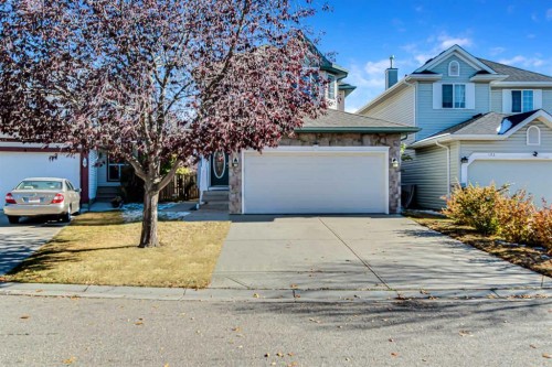 189 Coral Springs Court Ne, Calgary, AB - Outdoor