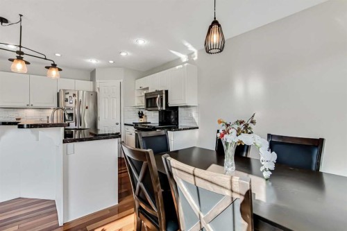 189 Coral Springs Court Ne, Calgary, AB - Indoor Photo Showing Kitchen With Upgraded Kitchen