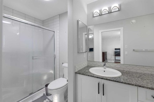 149 Corner Ridge Mews Ne, Calgary, AB - Indoor Photo Showing Bathroom