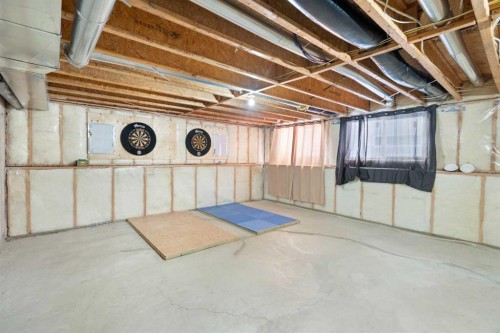 17 Deer Coulee Drive, Didsbury, AB - Indoor Photo Showing Basement