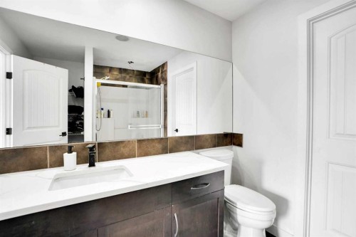 85 Saddlebrook Circle Ne, Calgary, AB - Indoor Photo Showing Bathroom