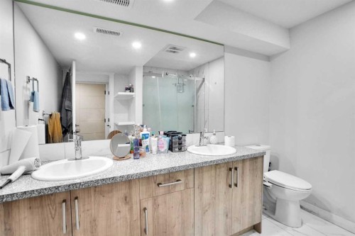 85 Saddlebrook Circle Ne, Calgary, AB - Indoor Photo Showing Bathroom