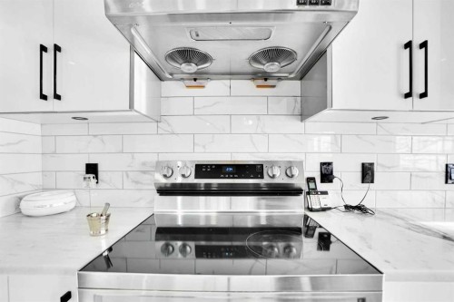 85 Saddlebrook Circle Ne, Calgary, AB - Indoor Photo Showing Kitchen With Upgraded Kitchen