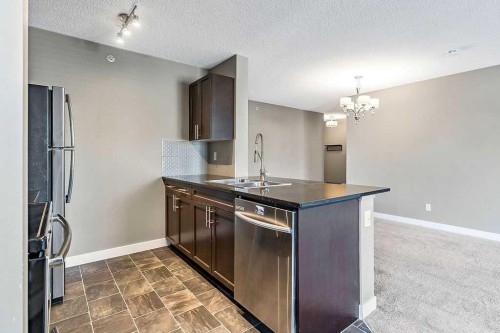1414-1317 27 Street Se, Calgary, AB - Indoor Photo Showing Kitchen With Double Sink