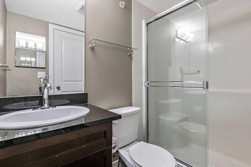 1414-1317 27 Street Se, Calgary, AB - Indoor Photo Showing Bathroom