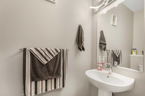 25 Cornerstone Manor Ne, Calgary, AB - Indoor Photo Showing Bathroom