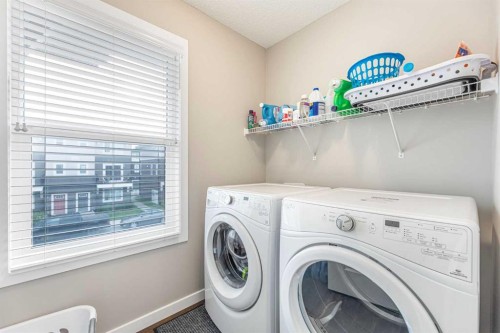 25 Cornerstone Manor Ne, Calgary, AB - Indoor Photo Showing Laundry Room