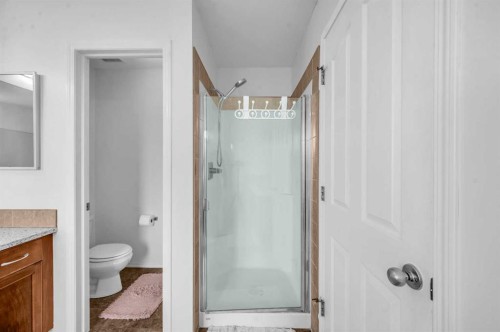 57 Saddlecrest Park Ne, Calgary, AB - Indoor Photo Showing Bathroom