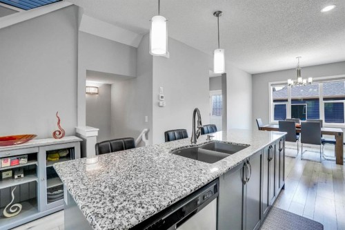 1370 Legacy Circle Se, Calgary, AB - Indoor Photo Showing Kitchen With Double Sink With Upgraded Kitchen