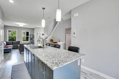 1370 Legacy Circle Se, Calgary, AB - Indoor Photo Showing Kitchen With Upgraded Kitchen