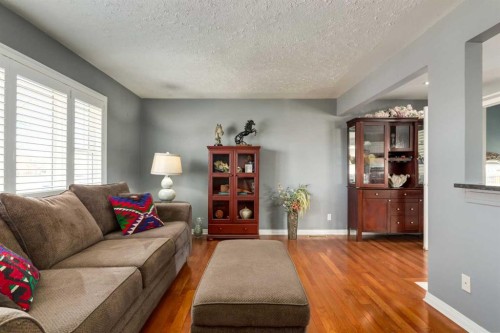 4603 79 Street Nw, Calgary, AB - Indoor Photo Showing Living Room