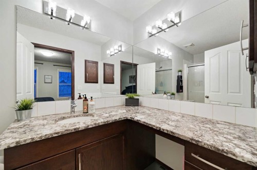 71 Cranberry Place Se, Calgary, AB - Indoor Photo Showing Bathroom