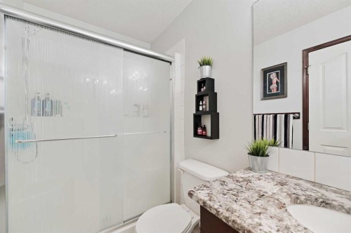 71 Cranberry Place Se, Calgary, AB - Indoor Photo Showing Bathroom