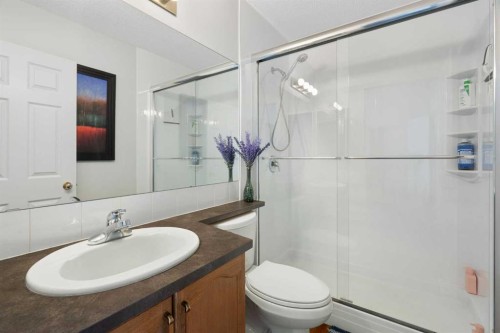 46 Bridleridge Way Sw, Calgary, AB - Indoor Photo Showing Bathroom