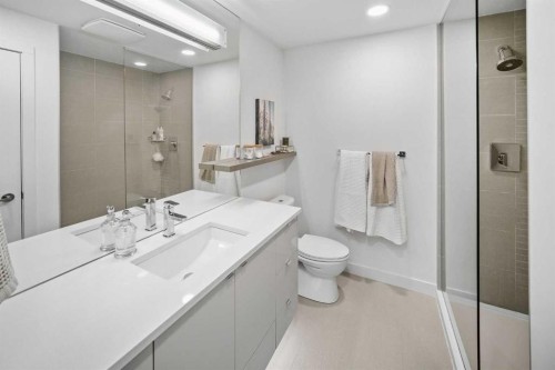 211-323 20 Avenue Sw, Calgary, AB - Indoor Photo Showing Bathroom