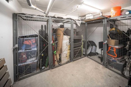 211-323 20 Avenue Sw, Calgary, AB - Indoor With Storage