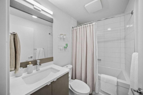 211-323 20 Avenue Sw, Calgary, AB - Indoor Photo Showing Bathroom