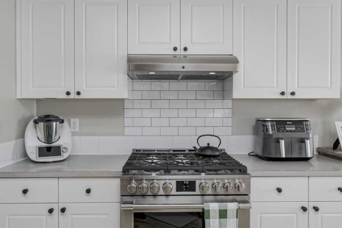 67 Silver Springs Way Nw, Airdrie, AB - Indoor Photo Showing Kitchen With Upgraded Kitchen