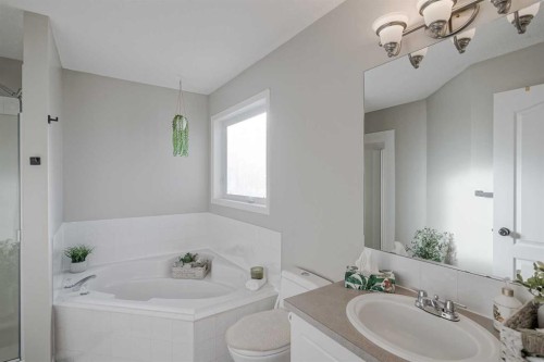 67 Silver Springs Way Nw, Airdrie, AB - Indoor Photo Showing Bathroom