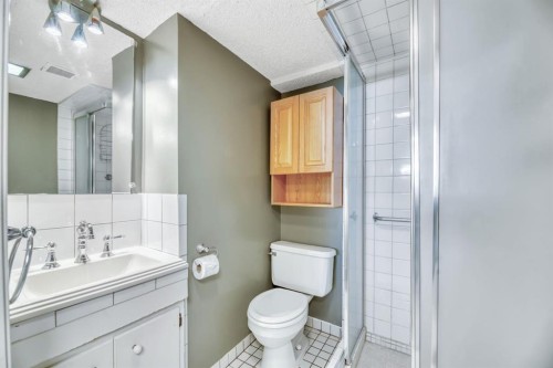 23 Brazeau Crescent Sw, Calgary, AB - Indoor Photo Showing Bathroom