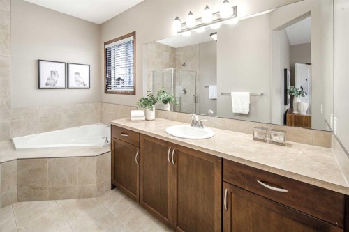 164 Everbrook Drive Sw, Calgary, AB - Indoor Photo Showing Bathroom