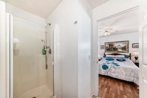 21 Strathmore Lakes Way, Strathmore, AB - Indoor Photo Showing Bathroom