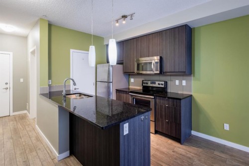117-402 Marquis Lane Se, Calgary, AB - Indoor Photo Showing Kitchen With Upgraded Kitchen