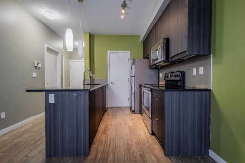 117-402 Marquis Lane Se, Calgary, AB - Indoor Photo Showing Kitchen