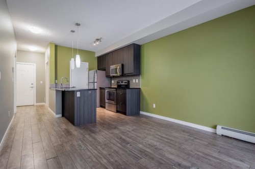 117-402 Marquis Lane Se, Calgary, AB - Indoor Photo Showing Kitchen