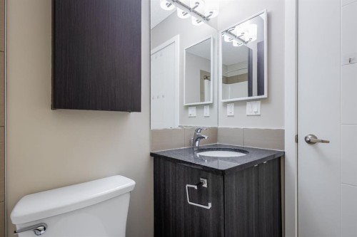 117-402 Marquis Lane Se, Calgary, AB - Indoor Photo Showing Bathroom