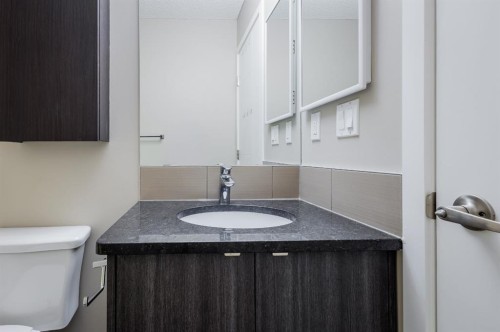 117-402 Marquis Lane Se, Calgary, AB - Indoor Photo Showing Bathroom