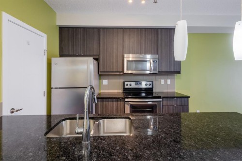 117-402 Marquis Lane Se, Calgary, AB - Indoor Photo Showing Kitchen With Double Sink With Upgraded Kitchen