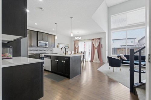 52 Brightoncrest Terrace Se, Calgary, AB - Indoor Photo Showing Kitchen With Upgraded Kitchen