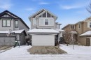 52 Brightoncrest Terrace Se, Calgary, AB  - Outdoor 
