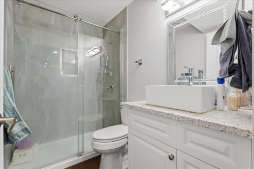 52 Brightoncrest Terrace Se, Calgary, AB - Indoor Photo Showing Bathroom
