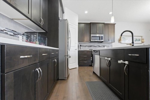 52 Brightoncrest Terrace Se, Calgary, AB - Indoor Photo Showing Kitchen With Upgraded Kitchen