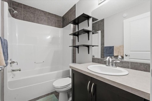 52 Brightoncrest Terrace Se, Calgary, AB - Indoor Photo Showing Bathroom