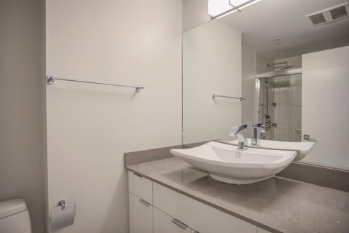N/A-201 1 Street Se, Calgary, AB - Indoor Photo Showing Bathroom