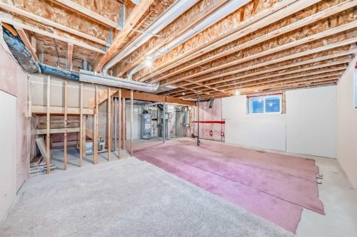 297 Evanspark Gardens Nw, Calgary, AB - Indoor Photo Showing Basement