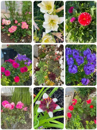 297 Evanspark Gardens Nw, Calgary, AB - Outdoor