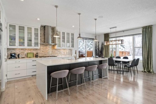 81 Cranbrook Place Se, Calgary, AB - Indoor Photo Showing Kitchen With Upgraded Kitchen