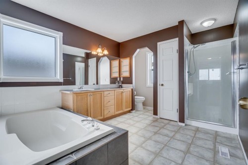 104 Cove Crescent, Chestermere, AB - Indoor Photo Showing Bathroom