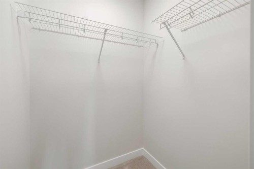 486 Kinniburgh Loop, Chestermere, AB - Indoor With Storage