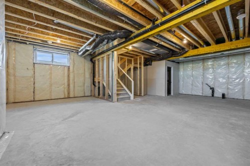 486 Kinniburgh Loop, Chestermere, AB - Indoor Photo Showing Basement