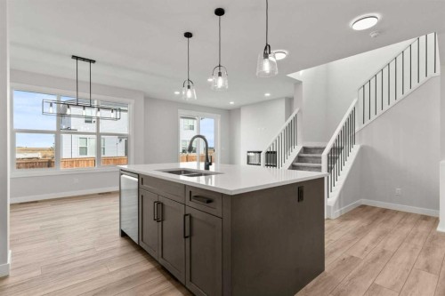 315 Kinniburgh Loop, Chestermere, AB - Indoor Photo Showing Kitchen With Double Sink
